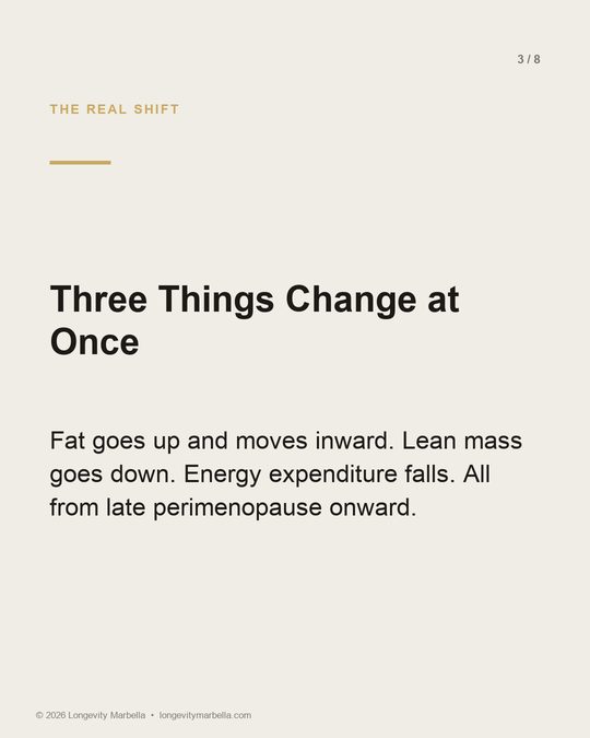 Slide 3 of 8