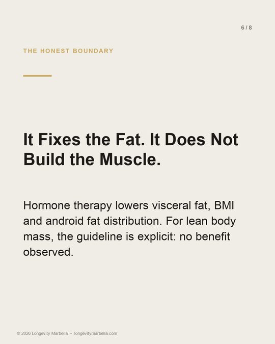 Slide 6 of 8