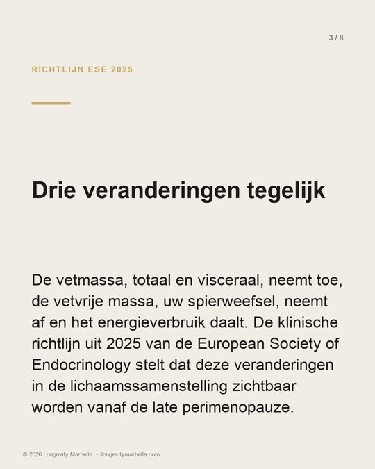 Slide 3 of 8