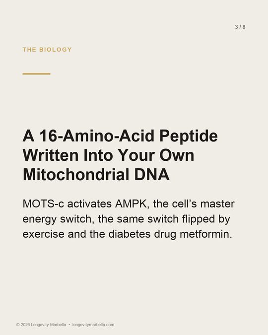 Slide 3 of 8