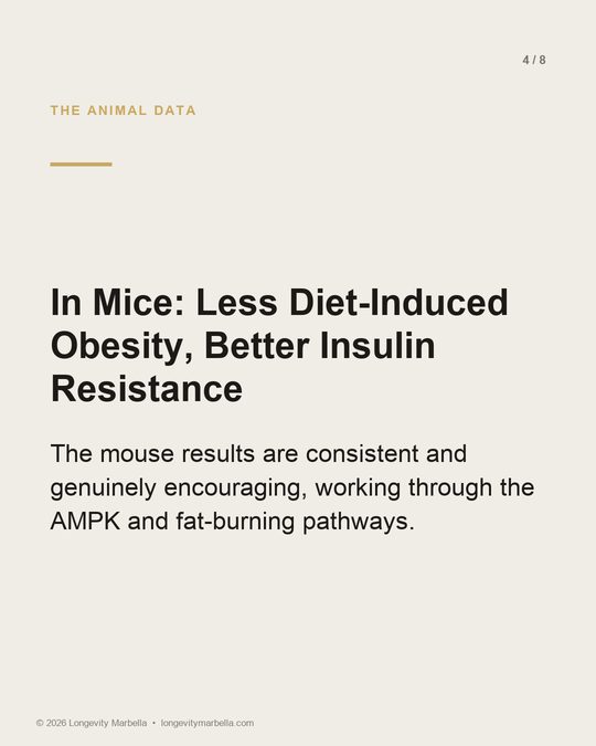 Slide 4 of 8
