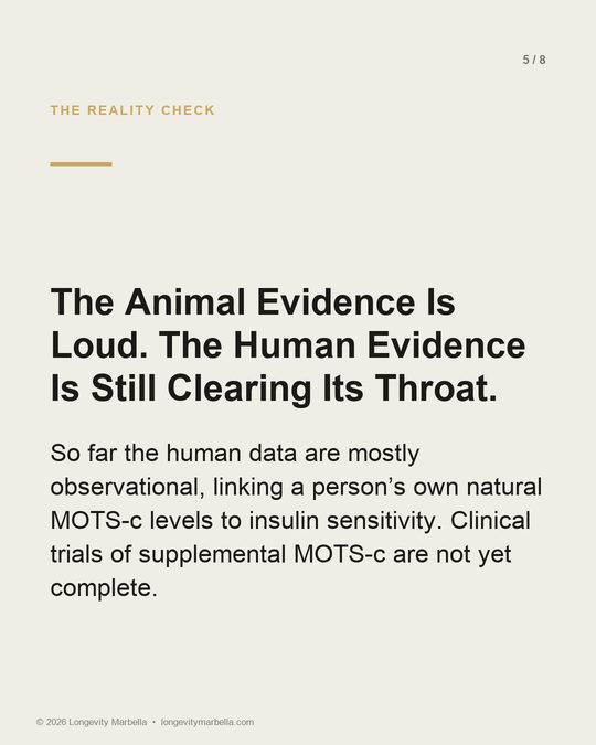 Slide 5 of 8