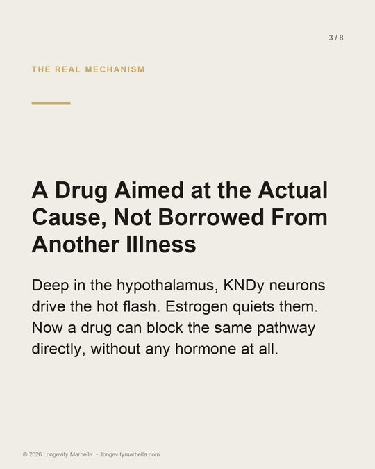 Slide 3 of 8