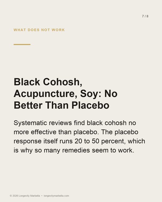Slide 7 of 8