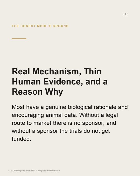 Slide 3 of 8