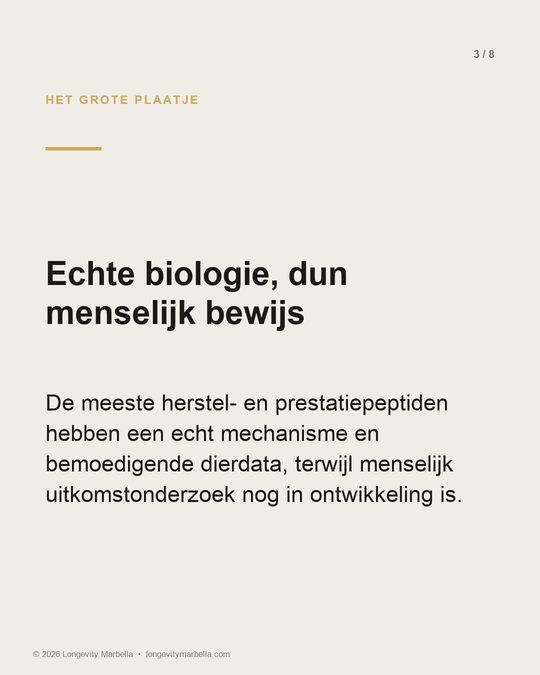 Slide 3 of 8