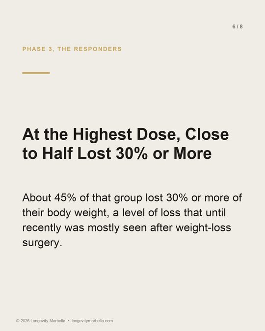 Slide 6 of 8