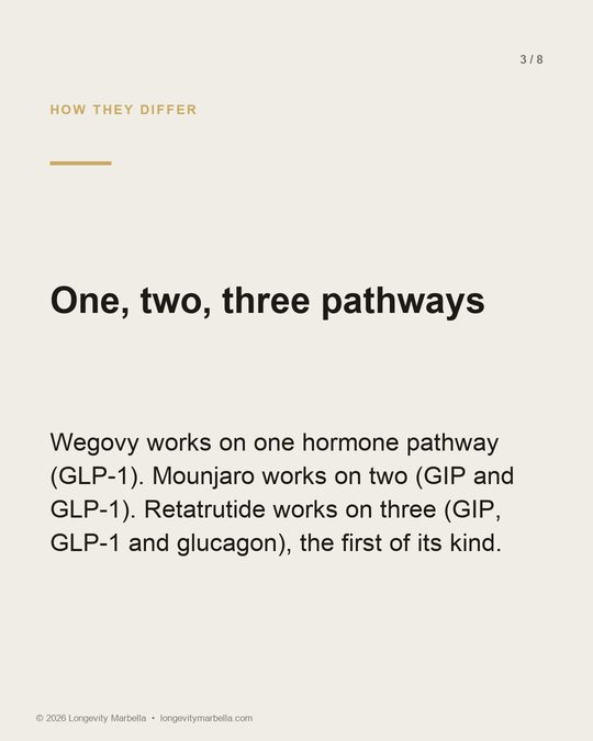Slide 3 of 8