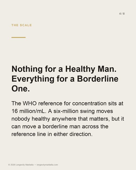 Slide 4 of 8