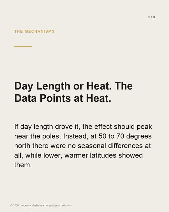Slide 5 of 8