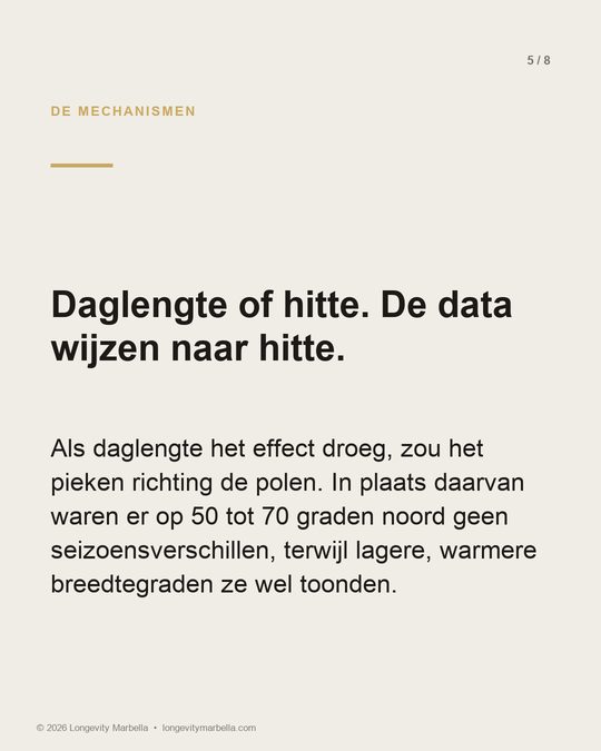 Slide 5 van 8