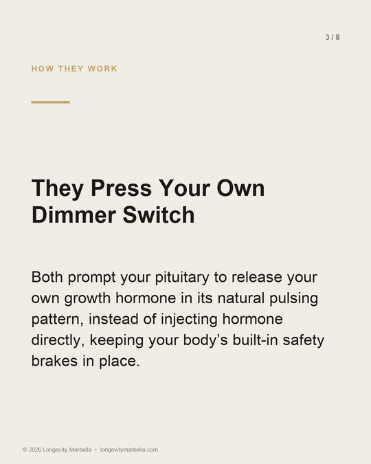 Slide 3 of 8