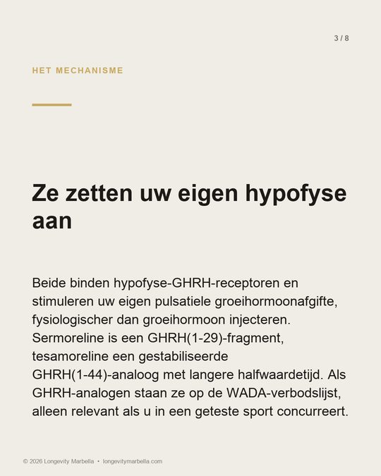Slide 3 of 8