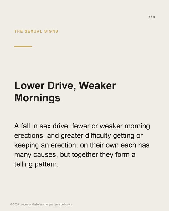 Slide 3 of 8