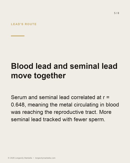 Slide 5 of 8