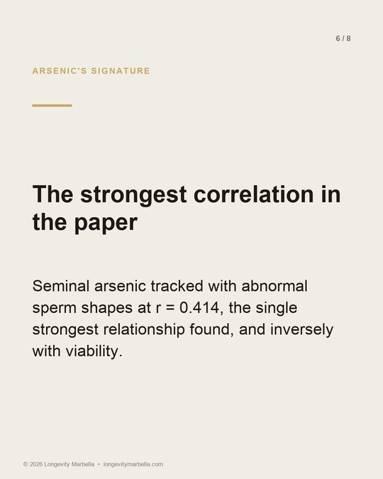 Slide 6 of 8
