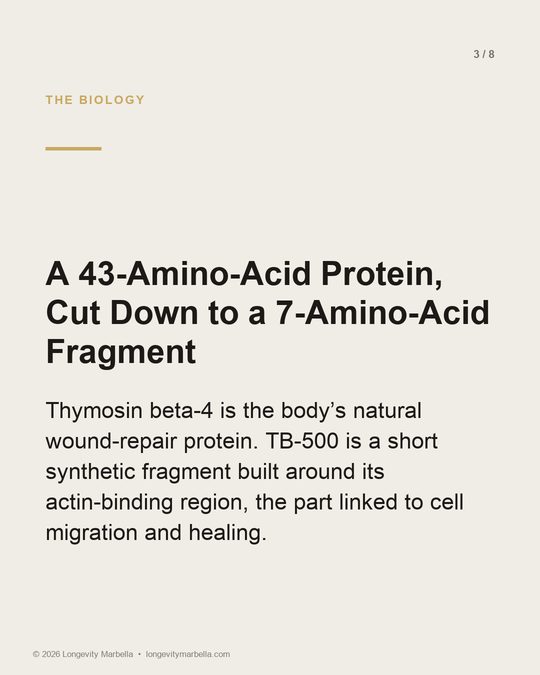 Slide 3 of 8