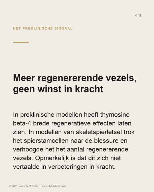 Slide 4 of 8