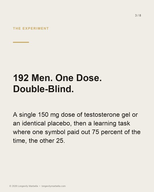 Slide 3 of 8