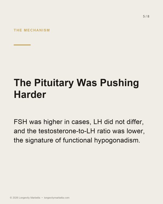 Slide 5 of 8