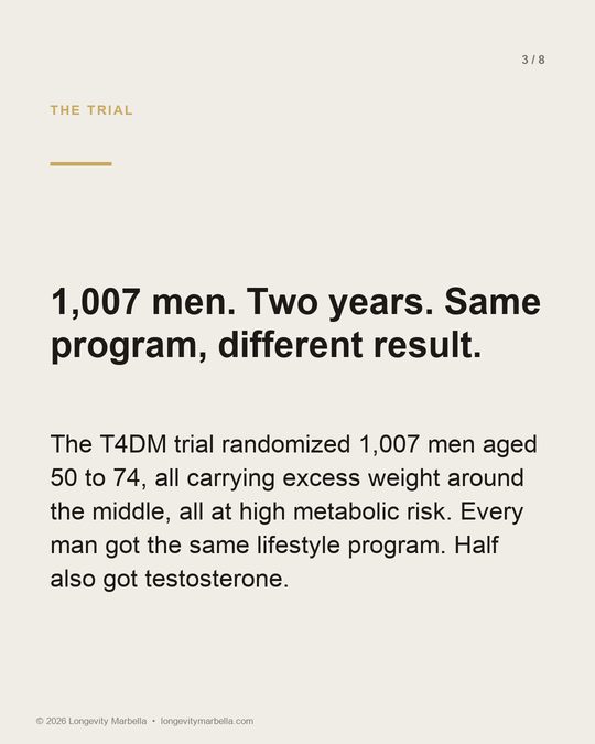 Slide 3 of 8