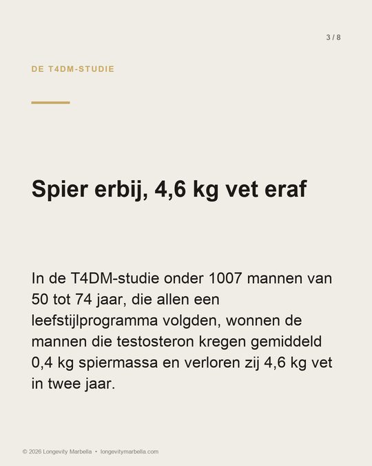 Slide 3 of 8