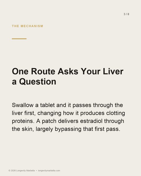 Slide 3 of 8