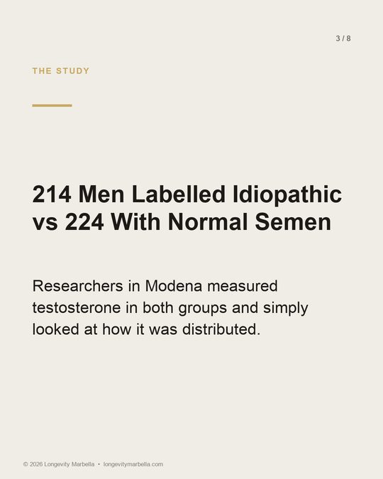 Slide 3 of 8