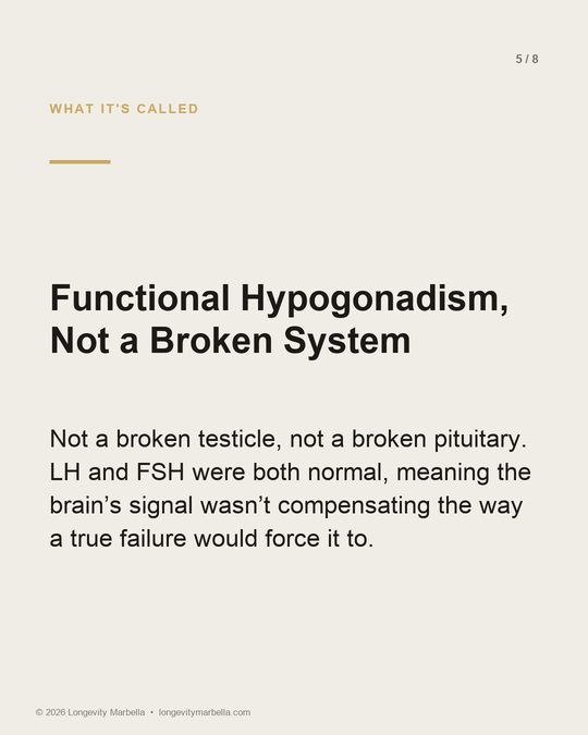 Slide 5 of 8