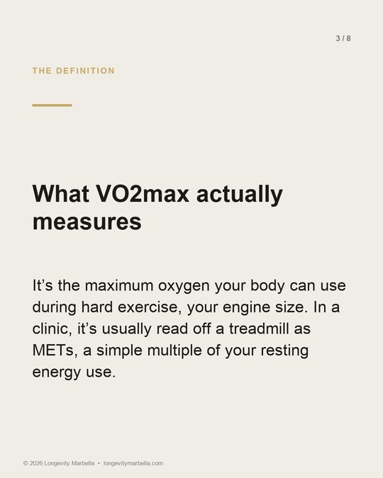 Slide 3 of 8