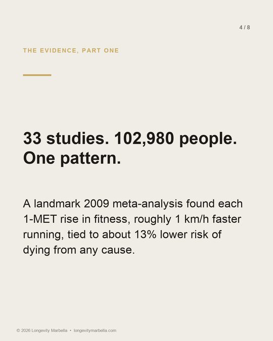 Slide 4 of 8