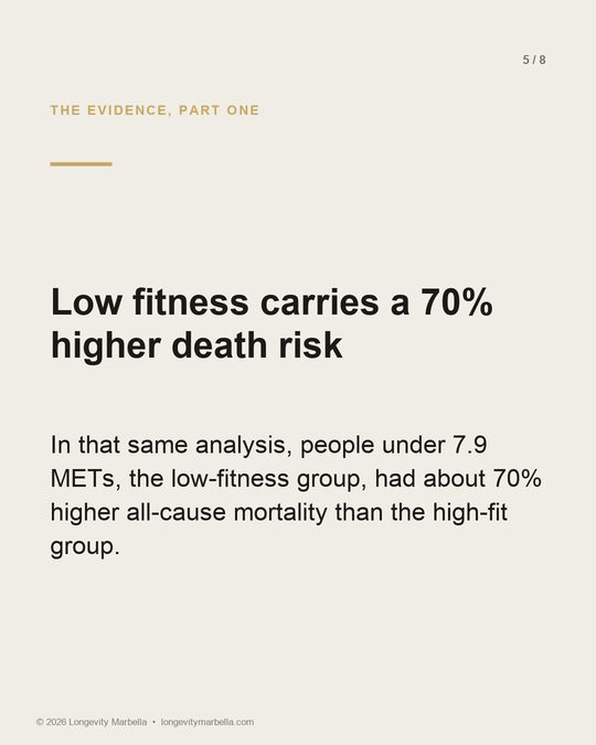 Slide 5 of 8