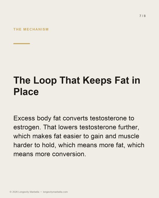 Slide 7 of 8