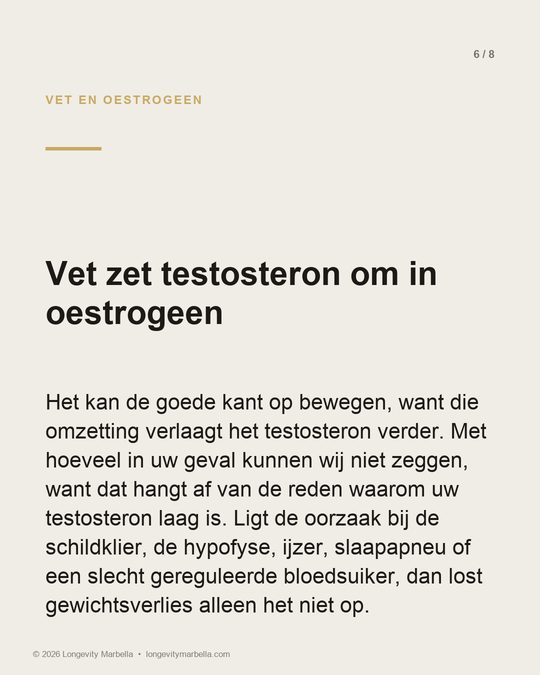 Slide 6 of 8