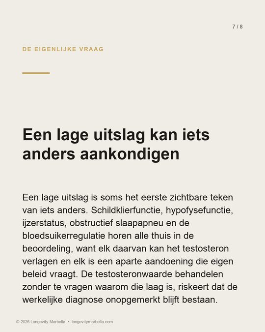 Slide 7 of 8