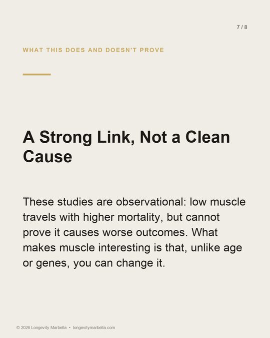 Slide 7 of 8