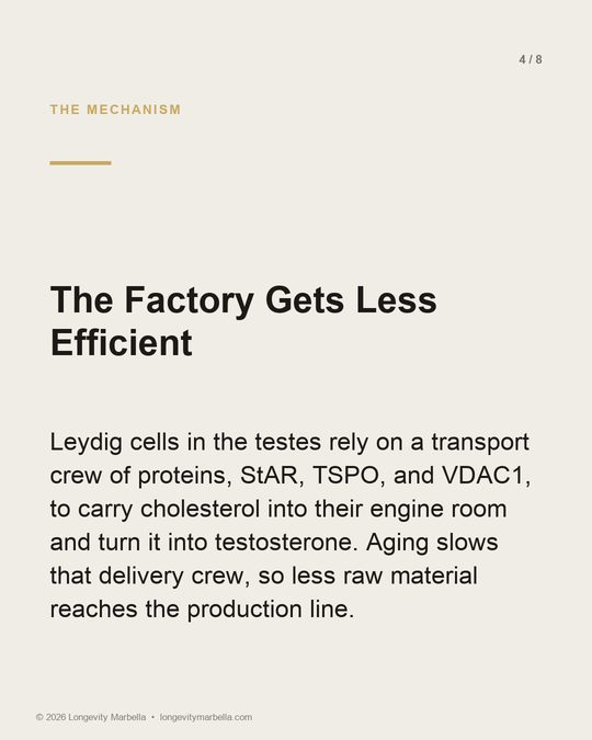 Slide 4 of 8