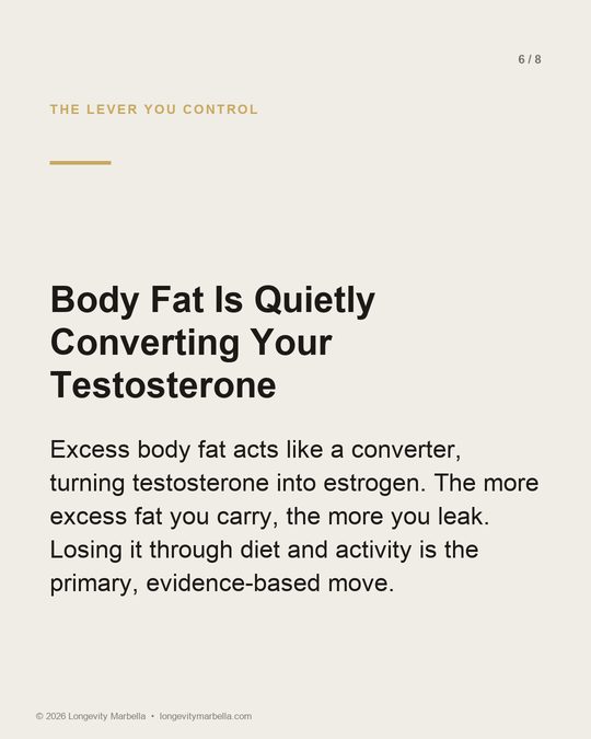 Slide 6 of 8
